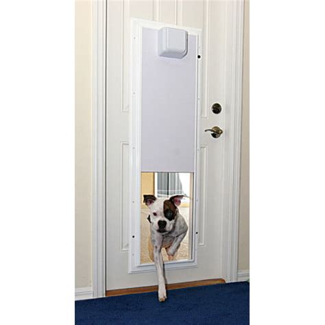 electronic wall mounted dog doors